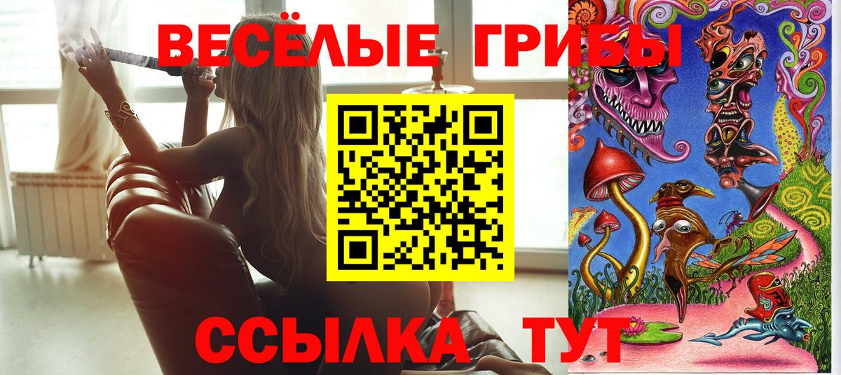 Энгельс  Псилоцибиновые грибы мицелий  Вход с VPN 